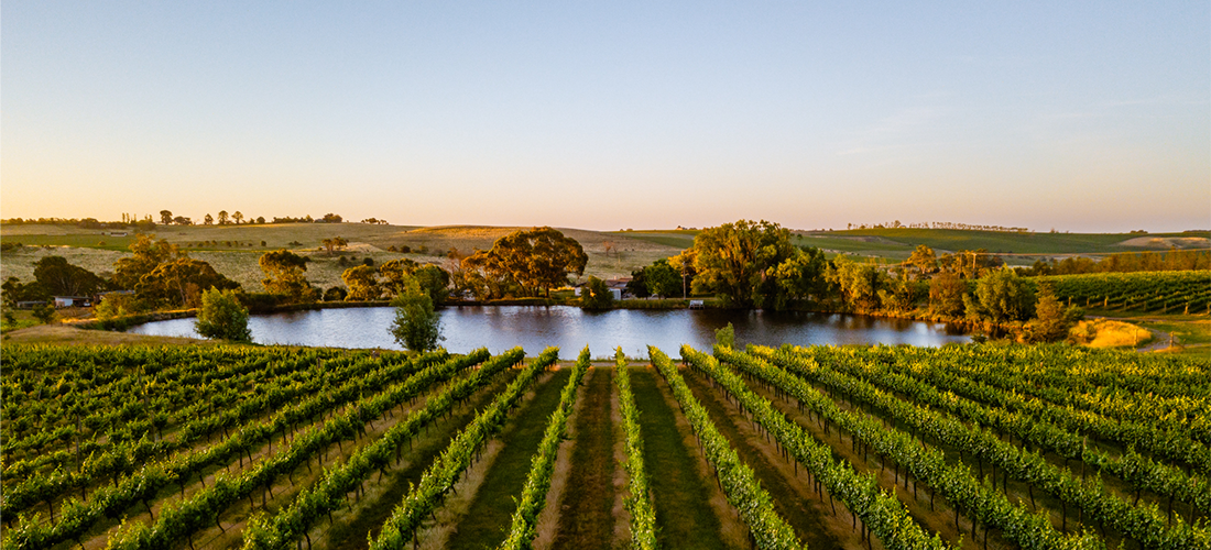 Nashdale Lane winery